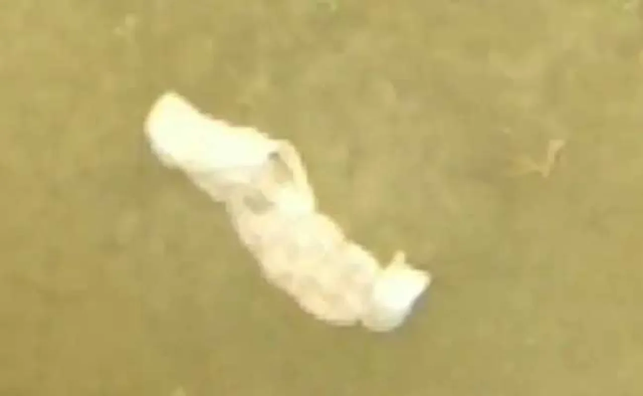 ବ୍ରିଜ୍‌ ଉପରୁ ନଦୀକୁ ଶବ ଫିଙ୍ଗୁଛନ୍ତି ଆମ୍ବୁଲାନ୍ସ କର୍ମଚାରୀ, ସଂକ୍ରମଣ ଆଶଙ୍କା ବଢ଼ିଲା