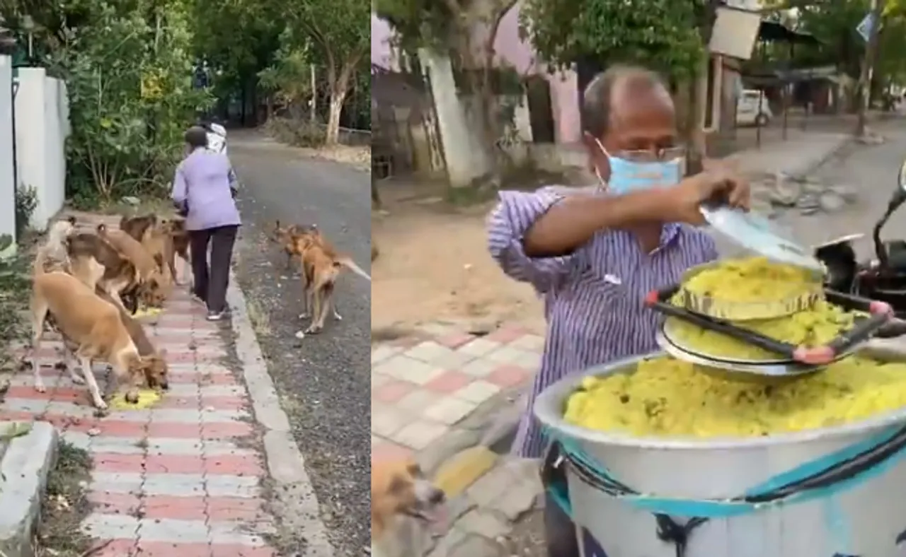 ୧୧ ବର୍ଷ ଧରି ୧୫୦ରୁ ଅଧିକ ବୁଲା କୁକୁରଙ୍କୁ ଦେଉଛନ୍ତି ଚିକେନ୍ ବିରିୟାନୀ, କହିଲେ ଏମାନେ ମୋର ...