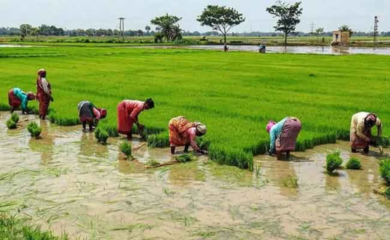 ଆଉ ୭ଦିନ ବଢ଼ିଲା ଚାଷୀ ପଞ୍ଜିକରଣ