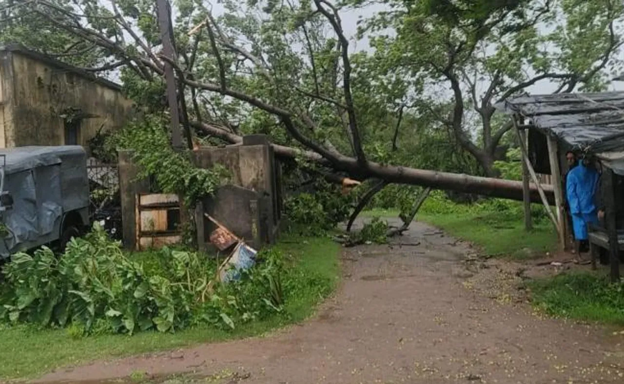 ଗଛ ପଡ଼ି ଯୁବକଙ୍କ ମୃତ୍ୟୁ, ବର୍ତ୍ତିଲେ ଦୁଇ ଭଉଣୀ