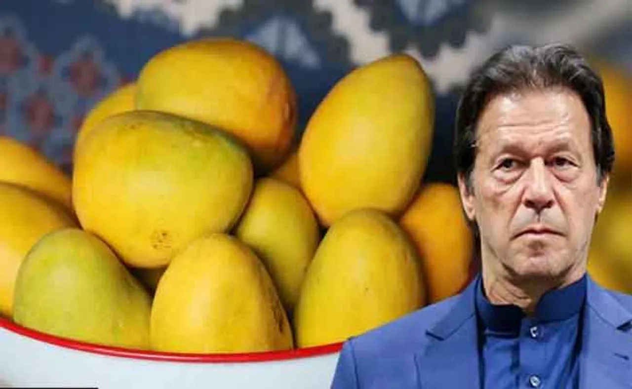 ପାକିସ୍ତାନର ଆମ୍ୱ ନେଲାନି ଚାଇନା