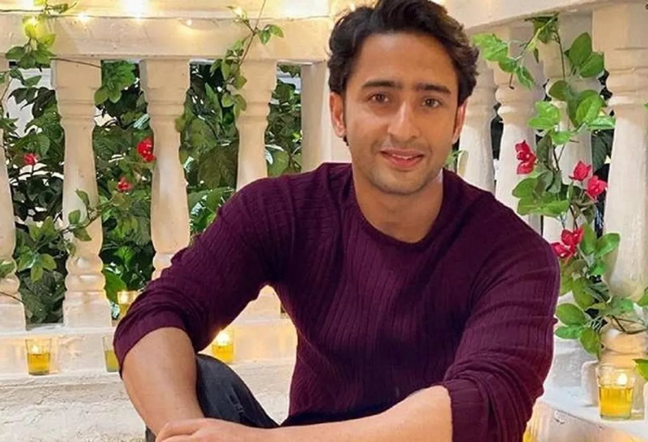 ଖୁବ୍ ଶୀଘ୍ର ଏହି ଅଭିନେତାଙ୍କ ଘରକୁ ଆସିବେ କୁନି ସଦସ୍ୟ