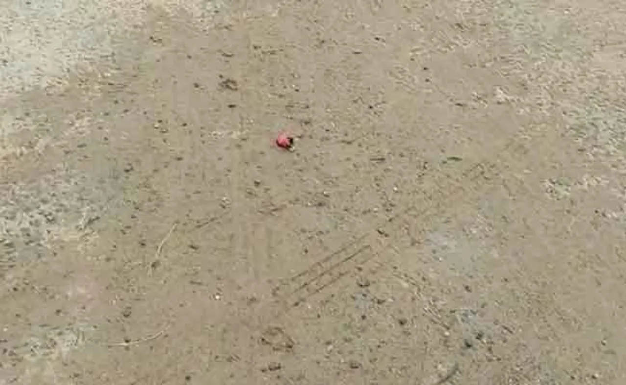 କାର୍‌ରେ ଥିଲେ ୪ ଯୁବକ, ହଠାତ ଫୁଟିଲା ଗୁଳି