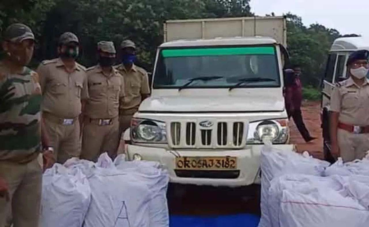 ପିକଅପ ଭ୍ୟାନରୁ ୪୫୨ କେଜି ଗଞ୍ଜେଇ ଜବତ, ଅଭିଯୁକ୍ତ ଫେରାର