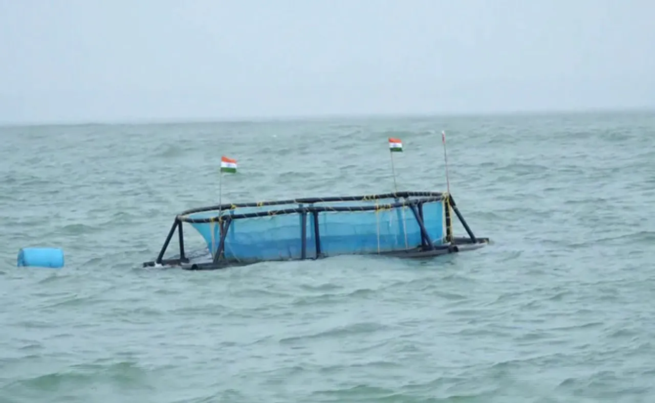 ସମୁଦ୍ର ବକ୍ଷରେ ପଞ୍ଜୁରୀରେ ମାଛ ଚାଷ