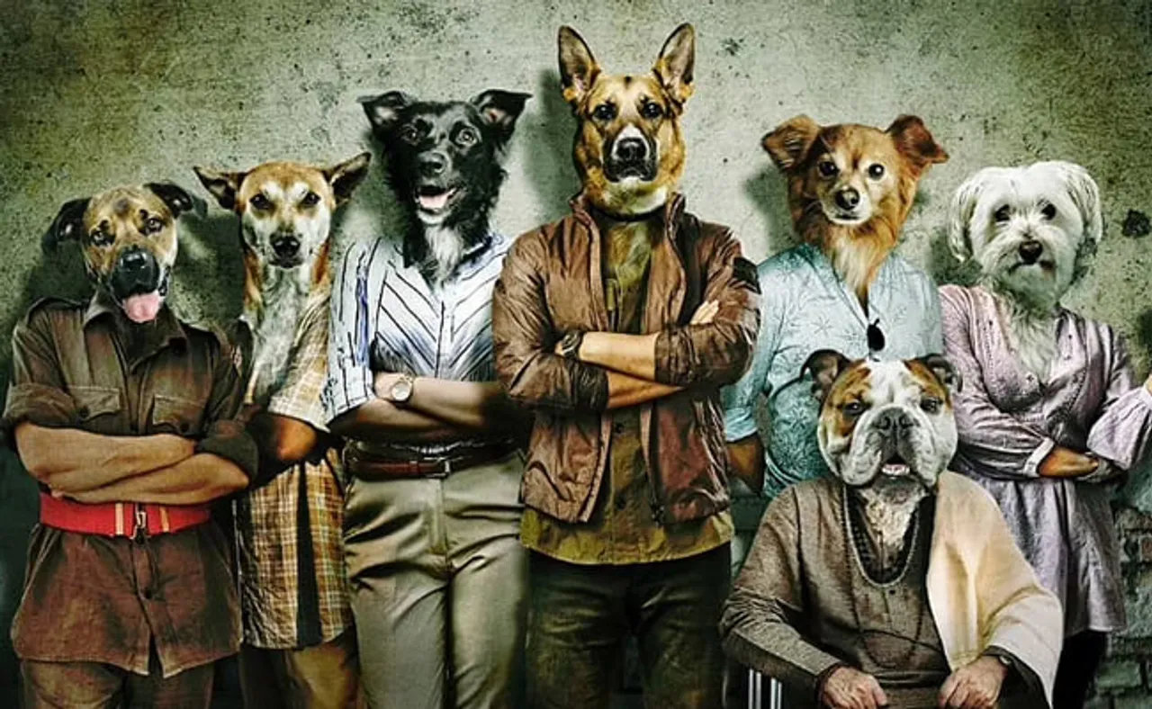 'ନା ଭୁକନ୍ତି, ନା ଗର୍ଜନ କରନ୍ତି…କେବଳ କାମୁଡ଼ନ୍ତି'