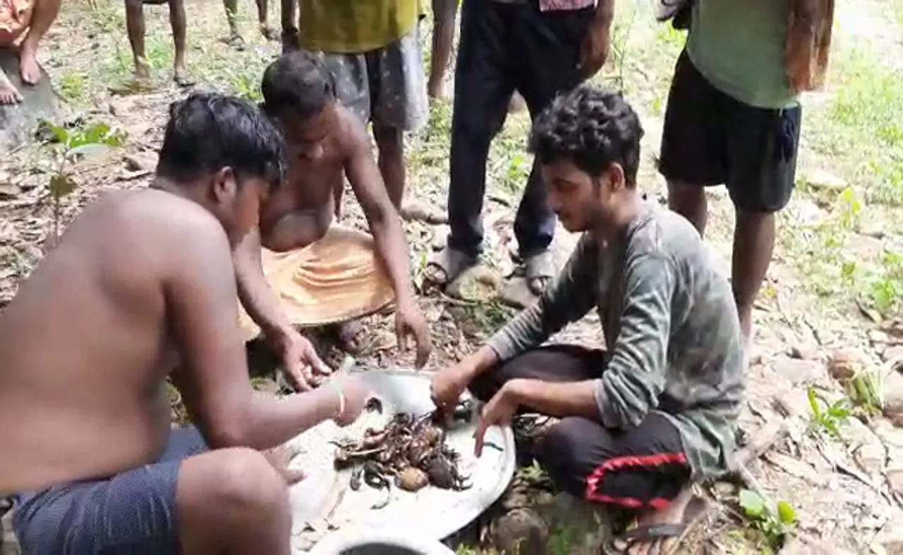 କଙ୍କଡା ଧର, ୫ ହଜାର ଟଙ୍କା ନିଅ 