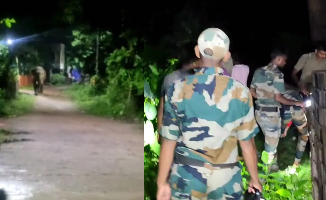 ସହରରେ ପଶିଲା ହାତୀ, ରାତିସାରା ଲୋକେ ଅନିଦ୍ରା