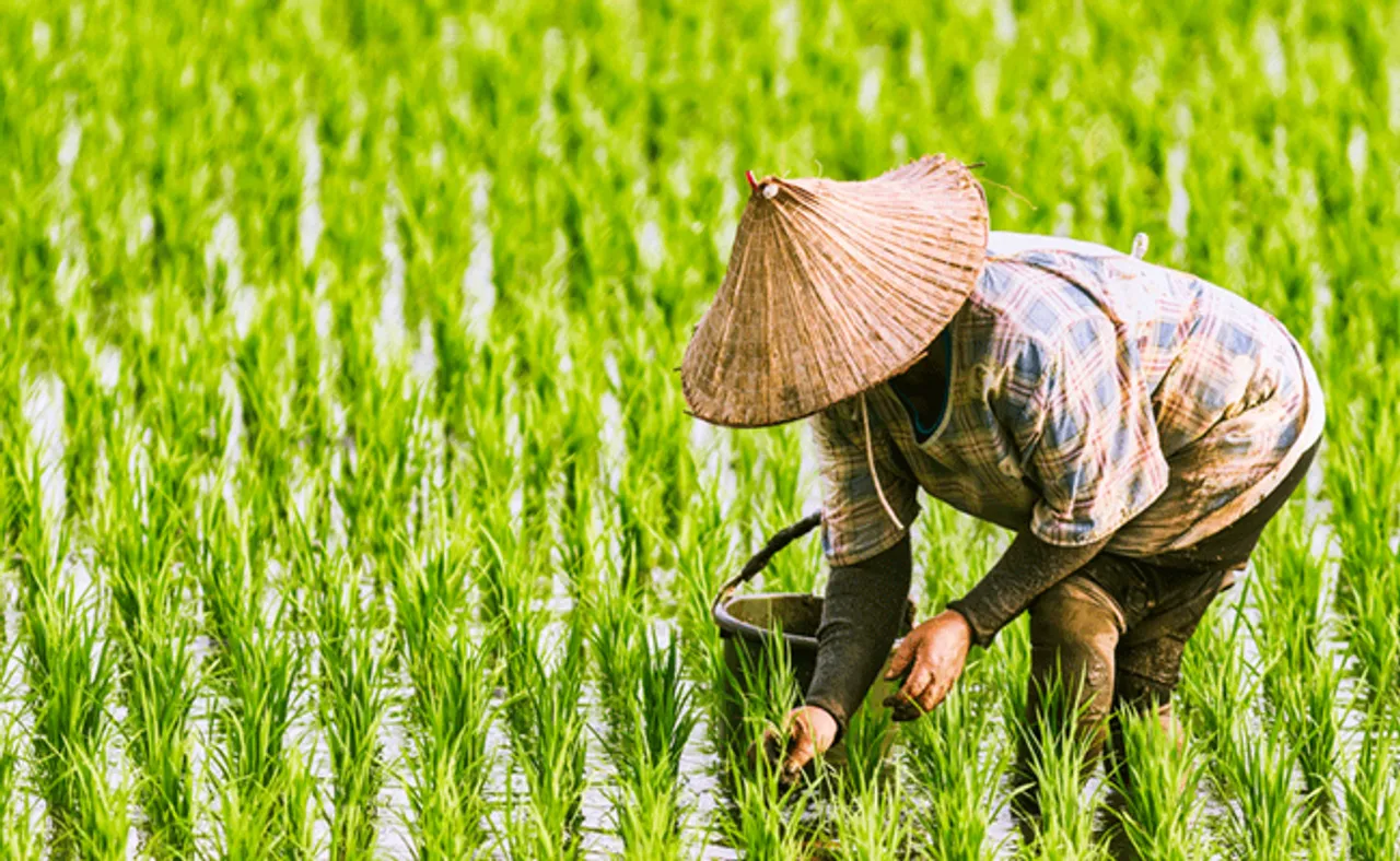 କାହା ପାଇଁ ଓଡ଼ିଶା ଚାଷୀ ଦେଶରେ ସବୁଠୁଁ ଗରୀବ ଓ ଋଣଗ୍ରସ୍ତ?