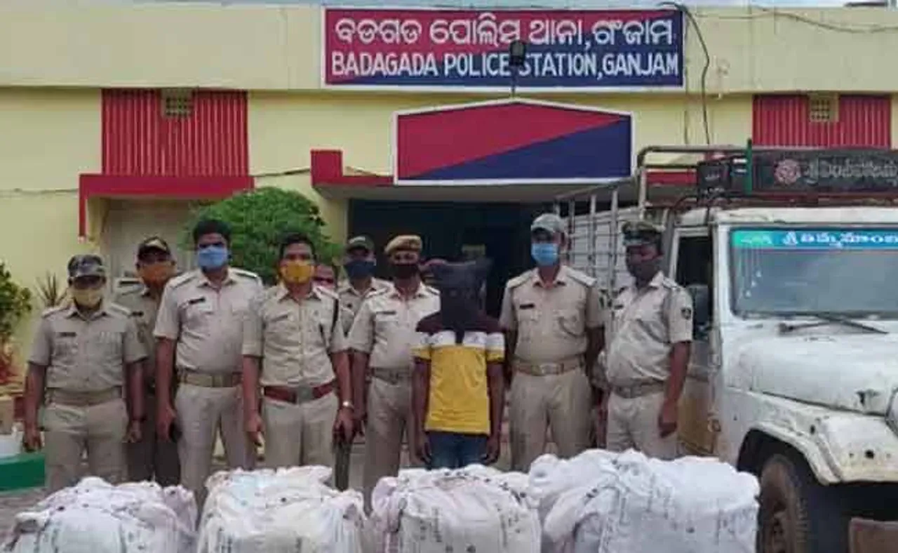 ୮୦ ଲକ୍ଷ ଟଙ୍କାର ଗଞ୍ଜେଇ ଜବତ, ଜଣେ ଗିରଫ