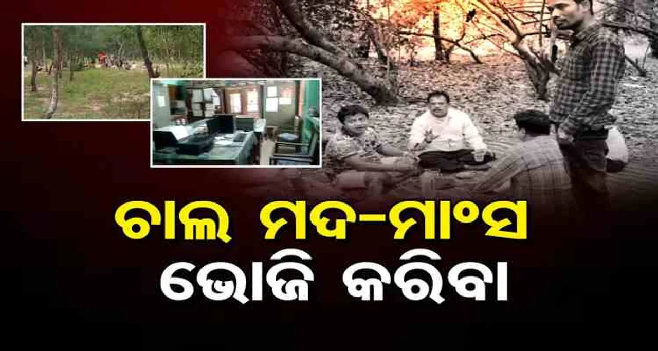 ଚାଲ ମଦ-ମାଂସ ଭୋଜି କରିବା