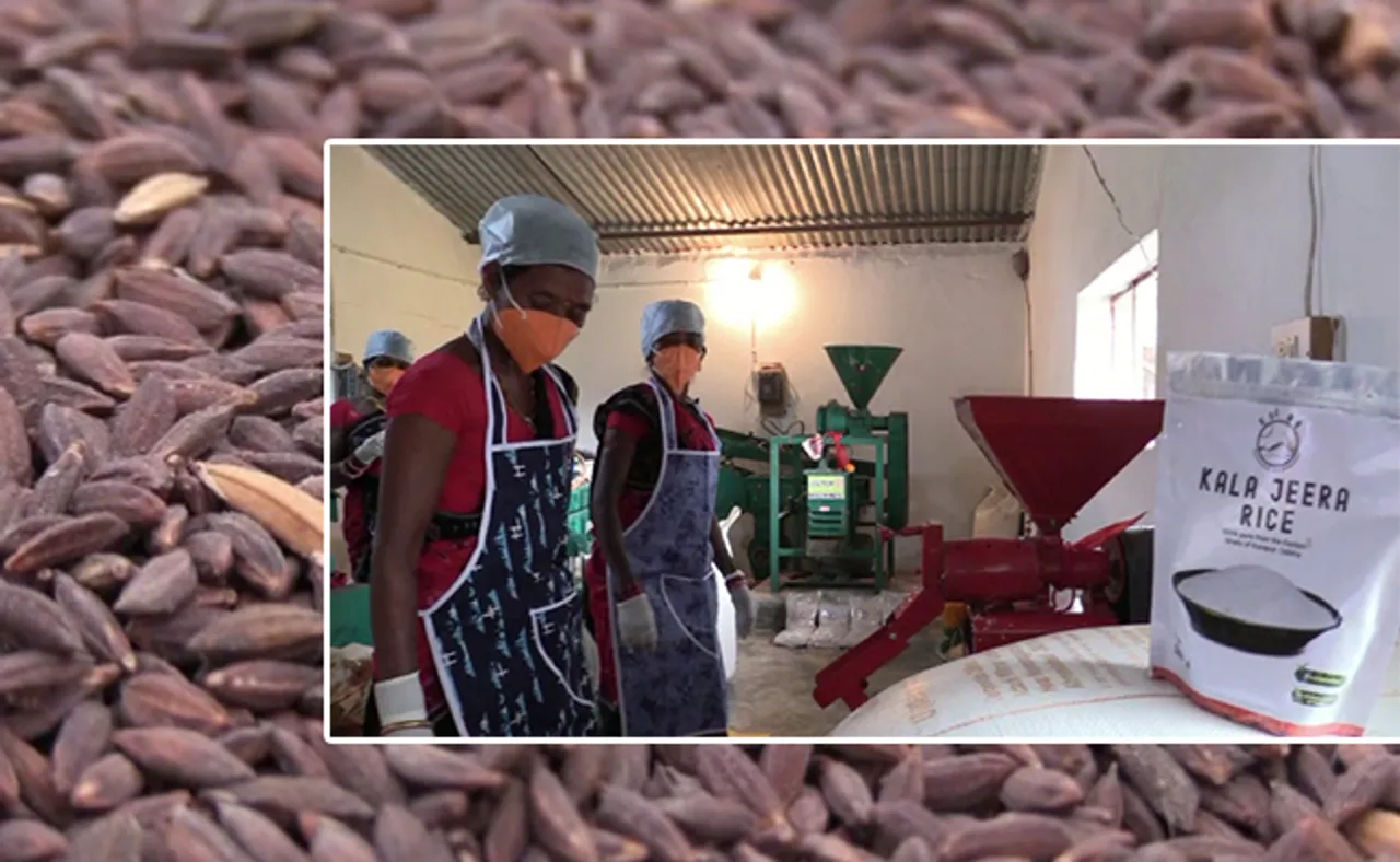 ଦିଲ୍ଲୀରେ ବଢ଼ୁଛି କୋରାପୁଟ ‘କଳାଜିରା’ର ଡିମାଣ୍ଡ