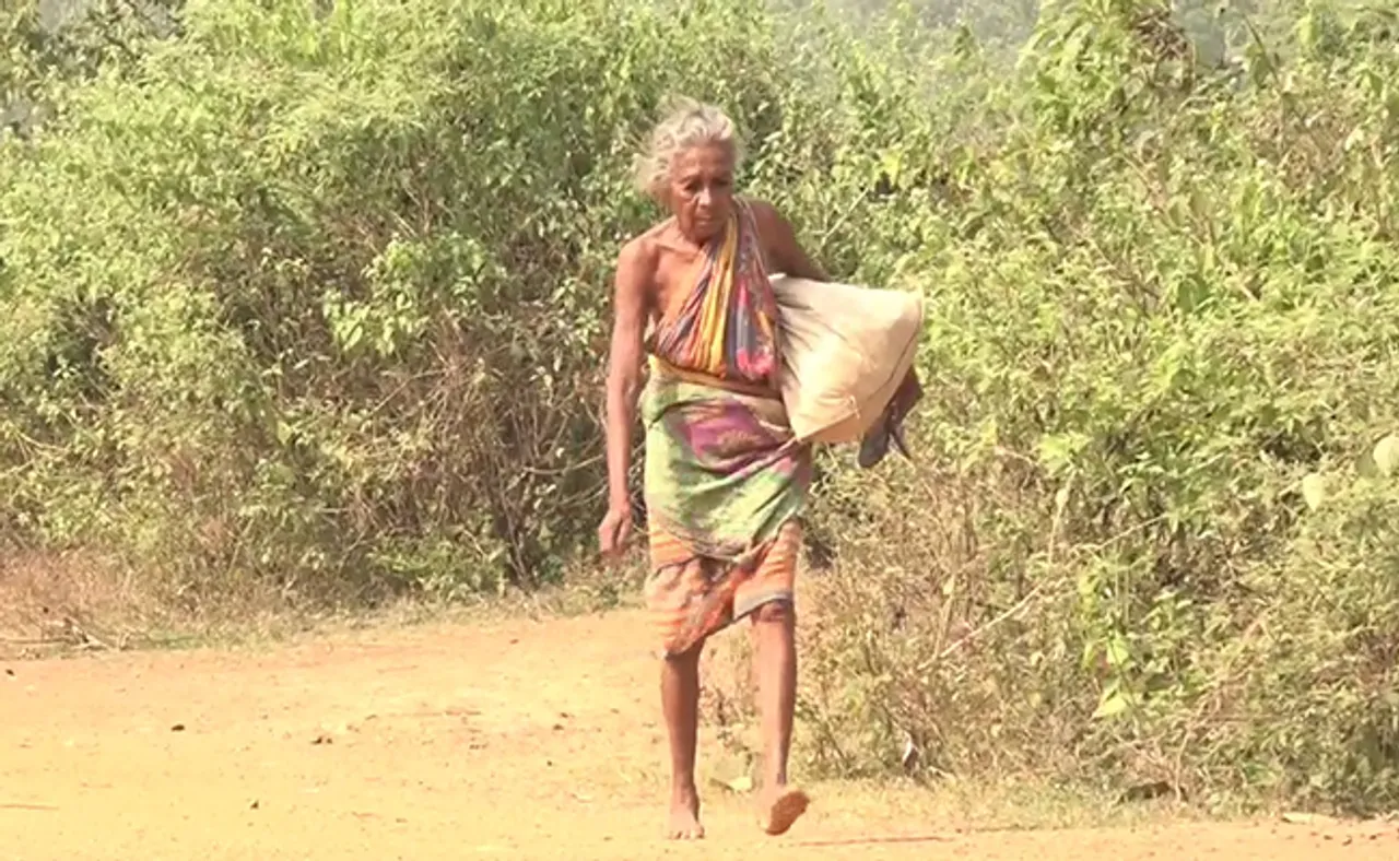 ସରିନି ତୁଳସୀ ମାଉସୀଙ୍କ ସଂଘର୍ଷ; ନାତି ପାଇଁ ଜଙ୍ଗଲରେ ଘୂରି ବୁଲୁଛନ୍ତି