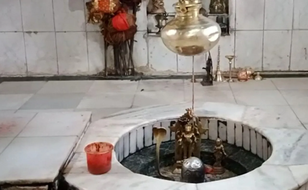 ମହାଦେବଙ୍କୁ ଛାଡ଼ିଲେନି, ଦୁଇଟି ରୁପା ନାଗ ନେଇଗଲେ