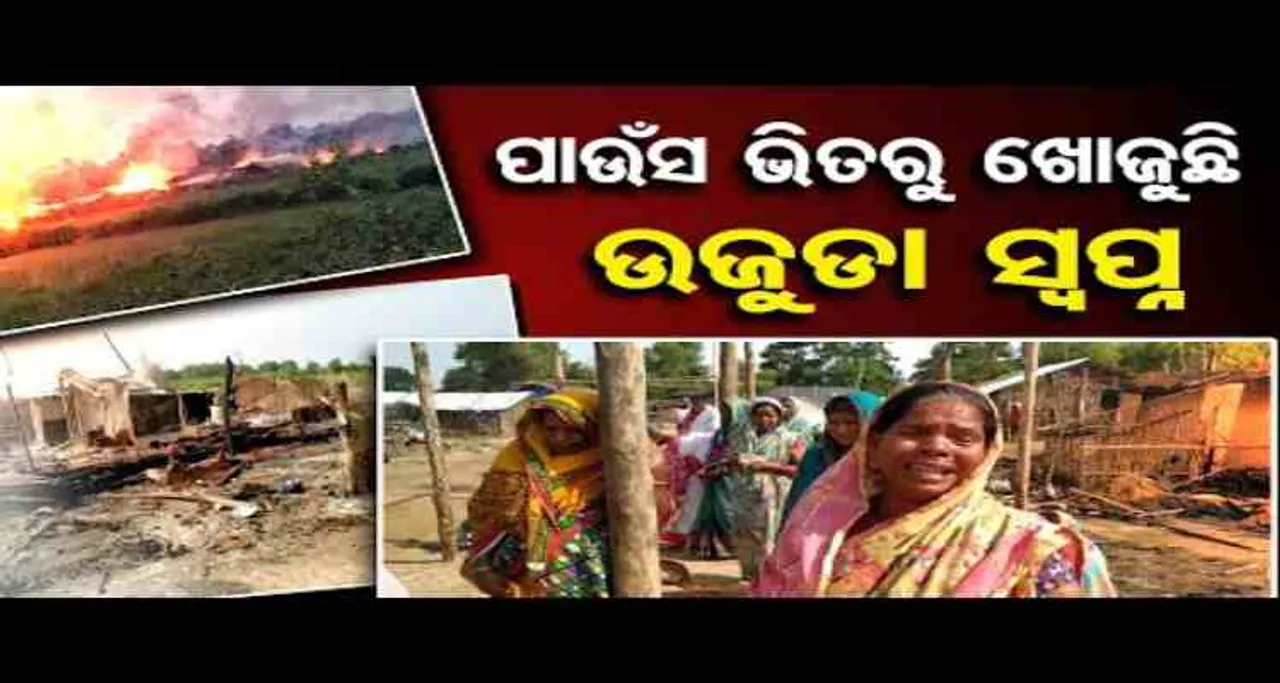 ପାଉଁସ ଭିତରୁ ଖୋଜୁଛି ଉଜୁଡା ସ୍ୱପ୍ନ