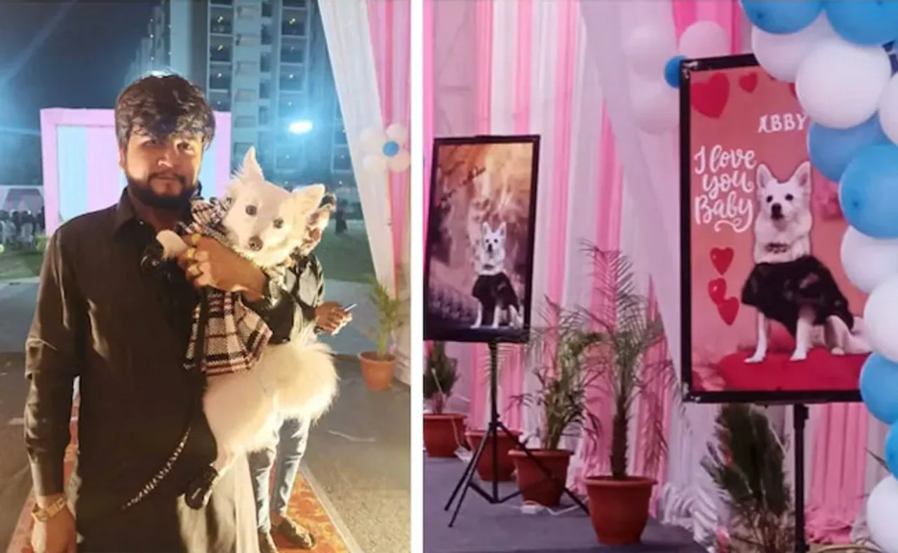 କୁକୁରର ଜନ୍ମଦିନ ପାଇଁ ଖର୍ଚ୍ଚ କଲେ ୭ ଲକ୍ଷ