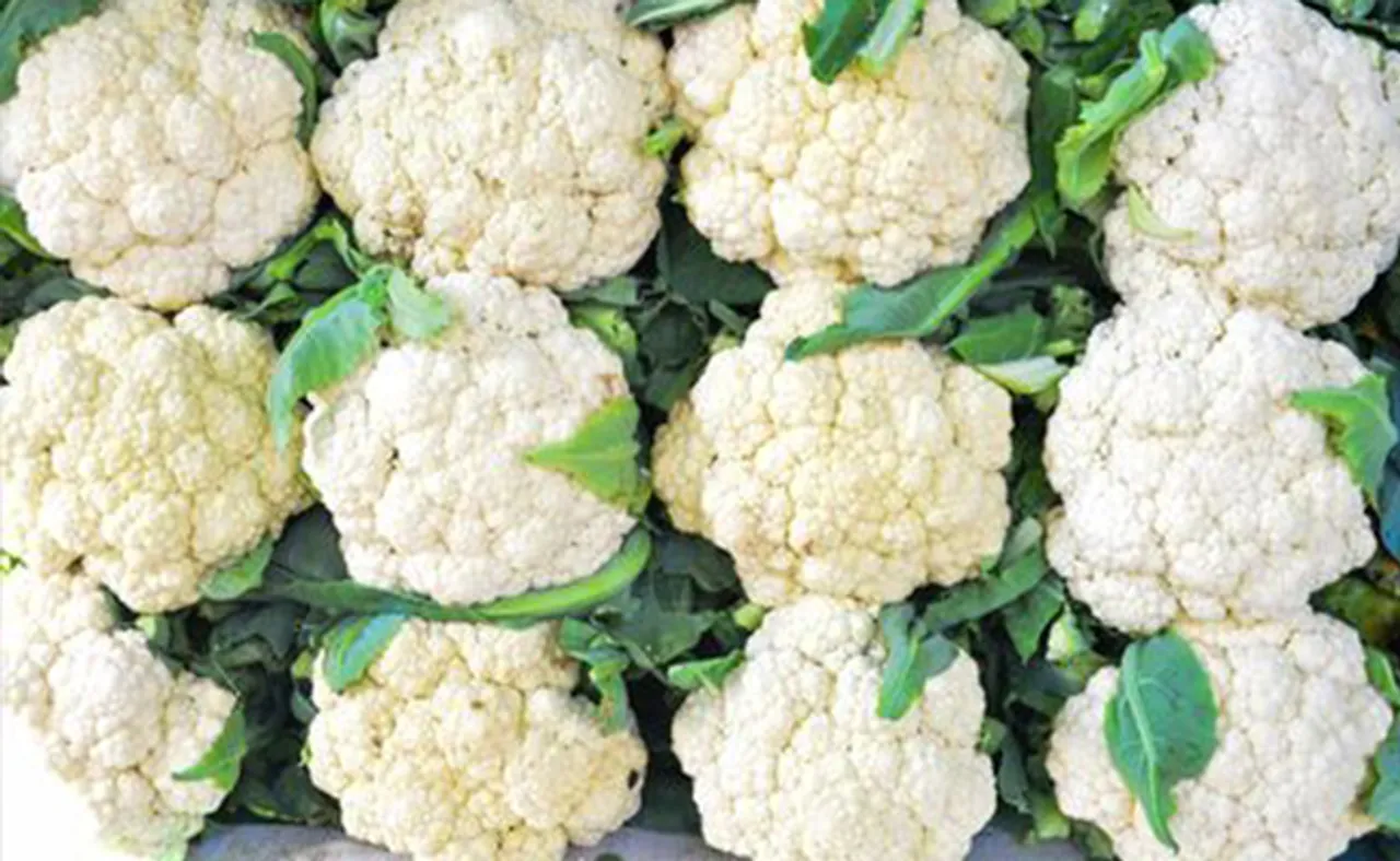 ଫୁଲ କୋବି ଖାଇ ଦମ୍ପତି ଅସୁସ୍ଥ