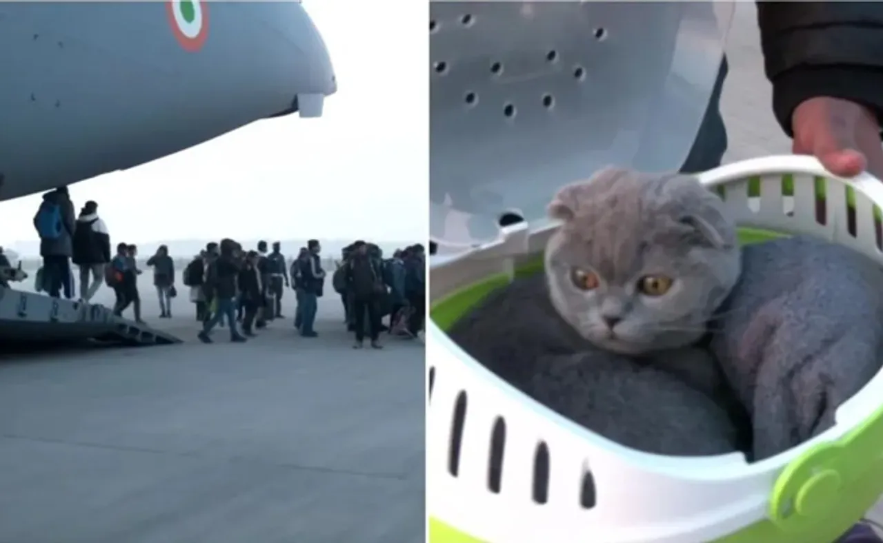 ଭାରତୀୟ ଶିକ୍ଷାର୍ଥୀଙ୍କ ମାନବିକତା, ୟୁକ୍ରେନରୁ କୁକୁର ଓ ବିଲେଇଙ୍କୁ ବି ସାଙ୍ଗରେ ଆଣିଲେ