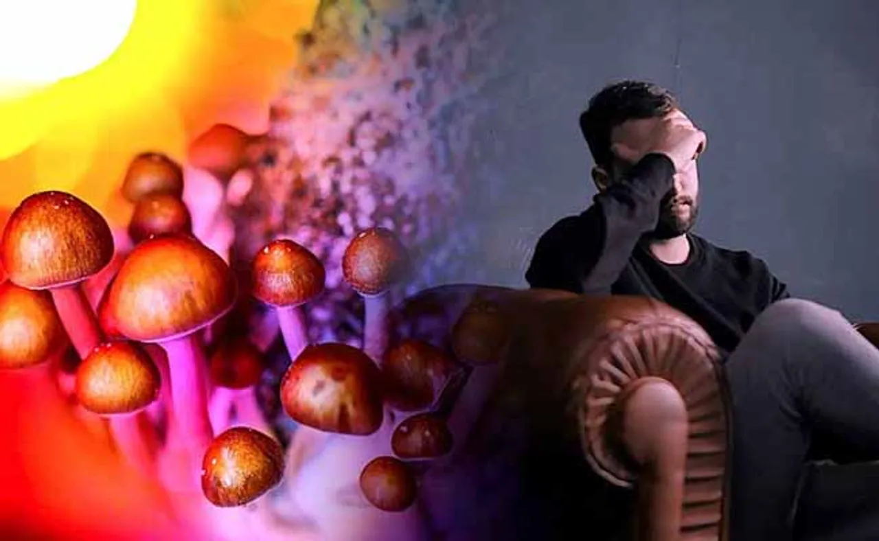 ଡିପ୍ରେସନ୍‌ ଦୂର କରିବ 'ମ୍ୟାଜିକ ଛତୁ'