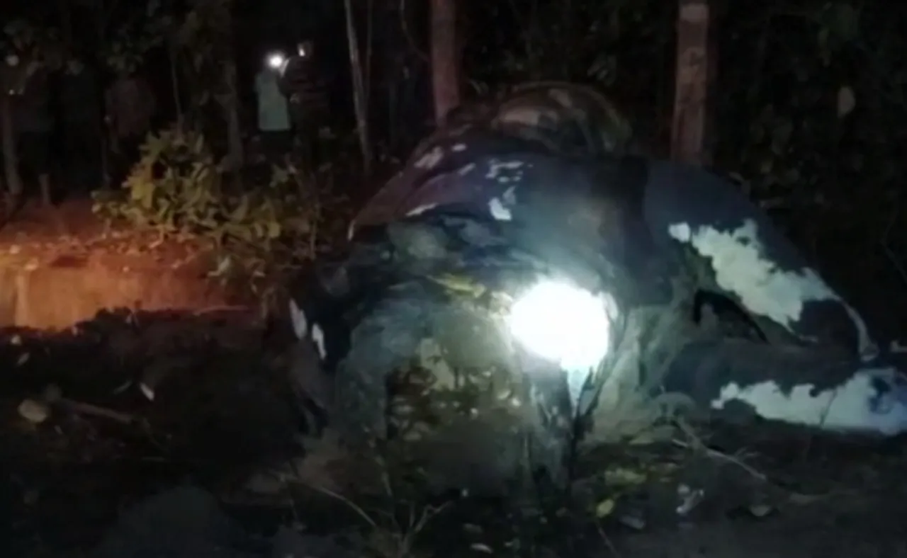 ଦନ୍ତାହାତୀକୁ ମାରି କାଟିନେଲେ ଦାନ୍ତ