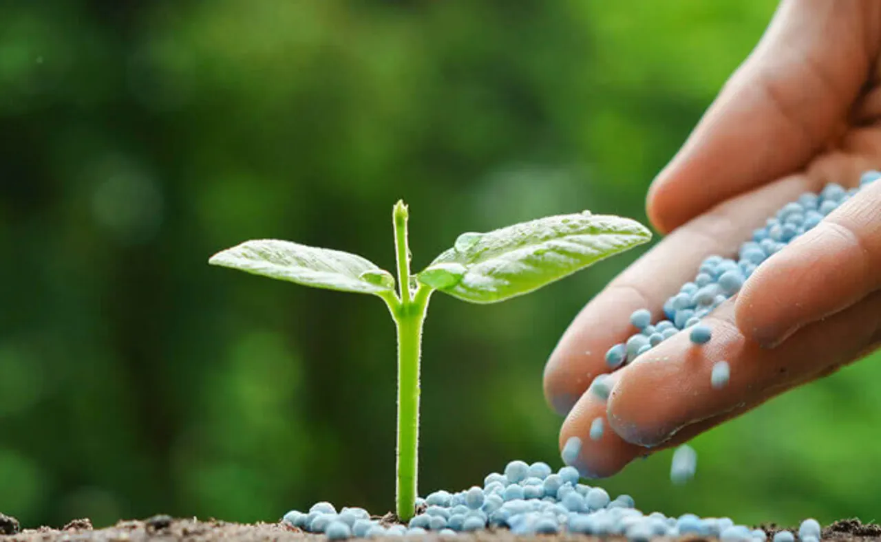 ‘ସାର’ର ସାର କଥା