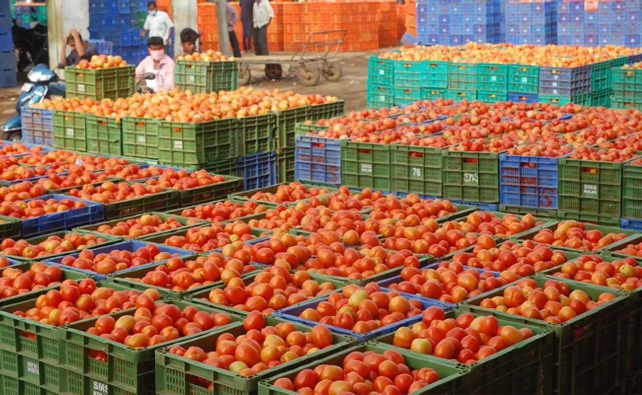 ମହଙ୍ଗା ଟମାଟୋ ଭାରି ସୁଆଦିଆ!