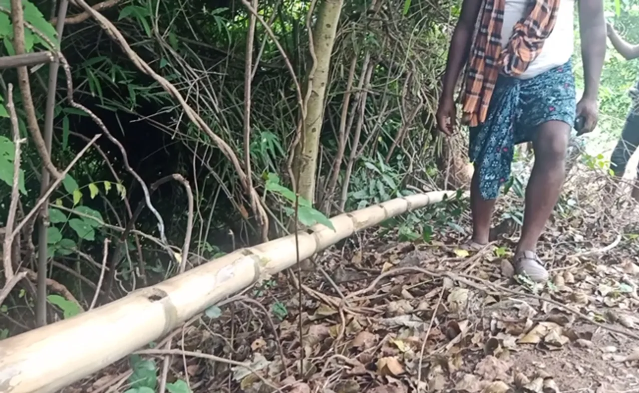 ପାଣି ପାଇଁ ବିଛାଇଲେ ୨ କିଲୋମିଟର ବାଉଁଶ ପାଇପ୍