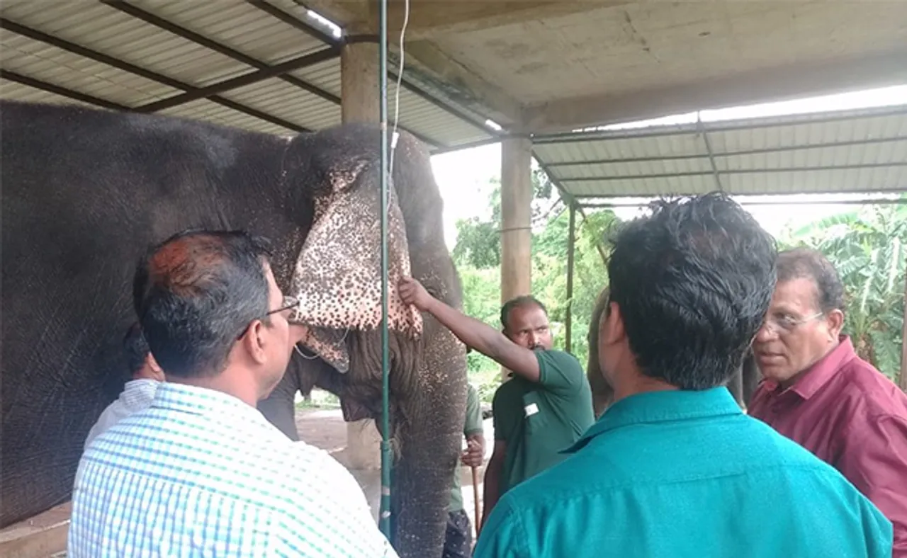 ପ୍ରେମା ଗୋଡ଼ରେ ଘା’, ବାସନ୍ତୀର ବଦହଜମି