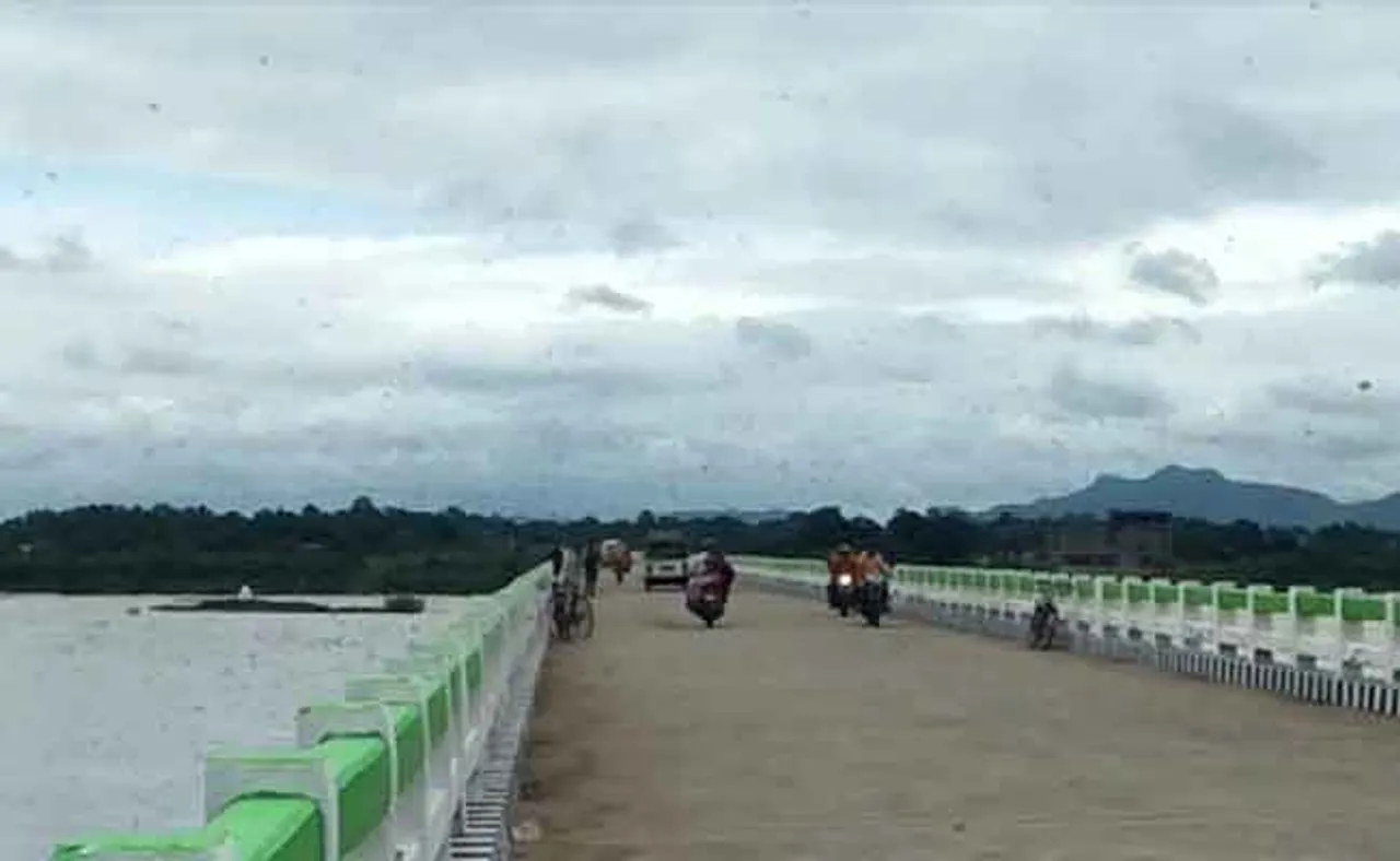 ମହାନଦୀ ବ୍ରିଜ ଉପରେ ଗୋଡ଼ାଇ ଗୋଡ଼ାଇ ଆକ୍ରମଣ କଲେ ମହୁମାଛି