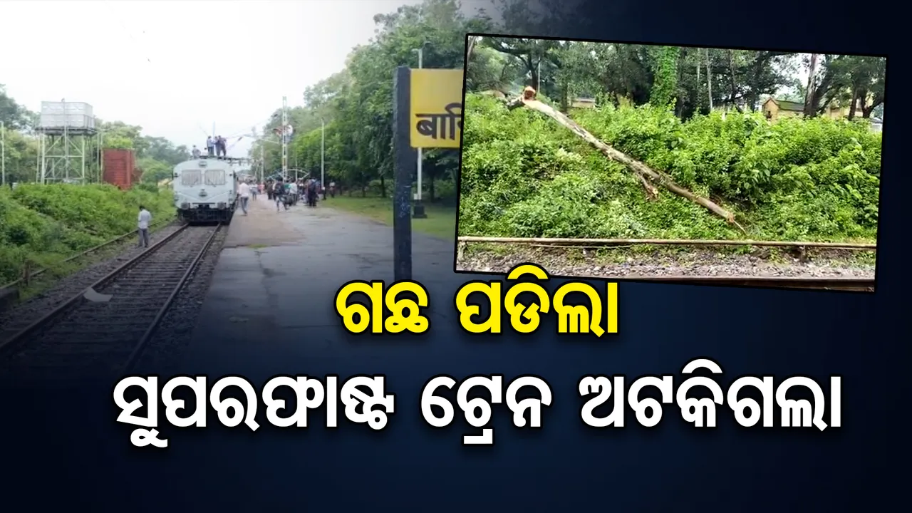ଗଛ ପଡ଼ିବାରୁ ଅଟକିଲା ଟ୍ରେନ
