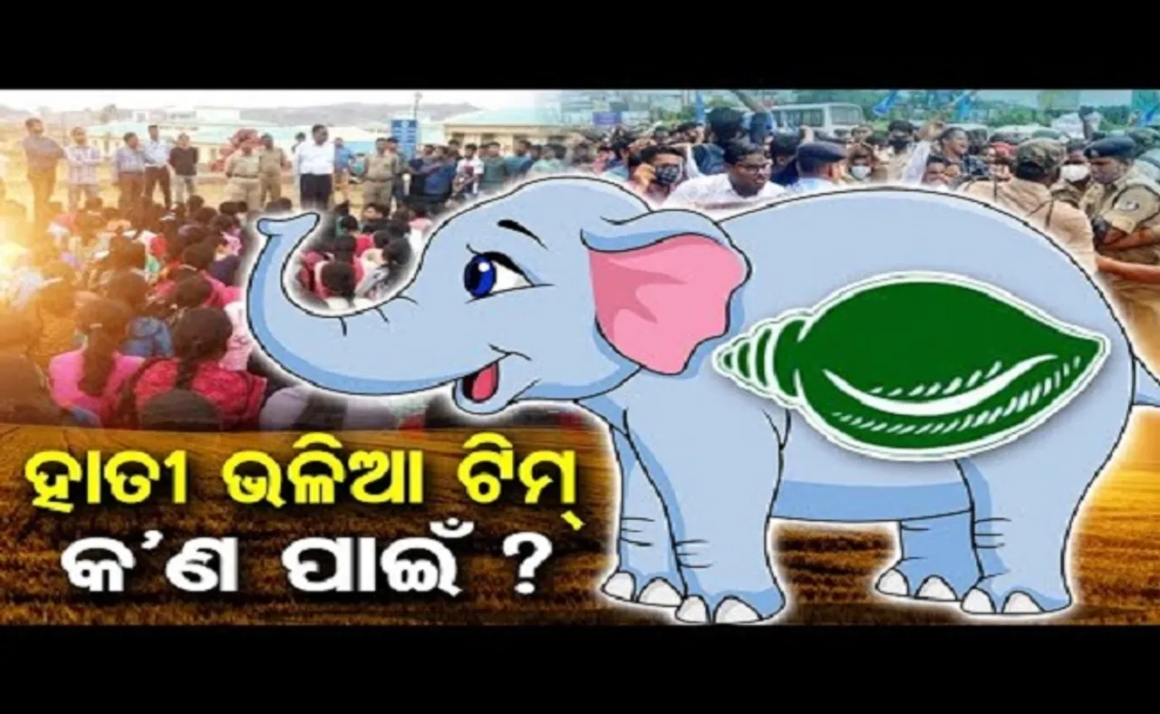 ହାତୀ ଭଳି ଟିମ୍ କଣ ପାଇଁ?