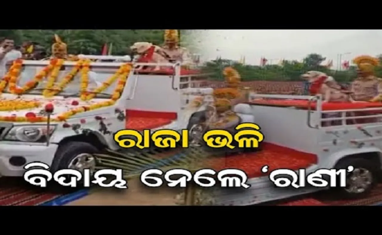 ରାଜା ଭଳି ବିଦାୟ ନେଲେ ‘ରାଣୀ’