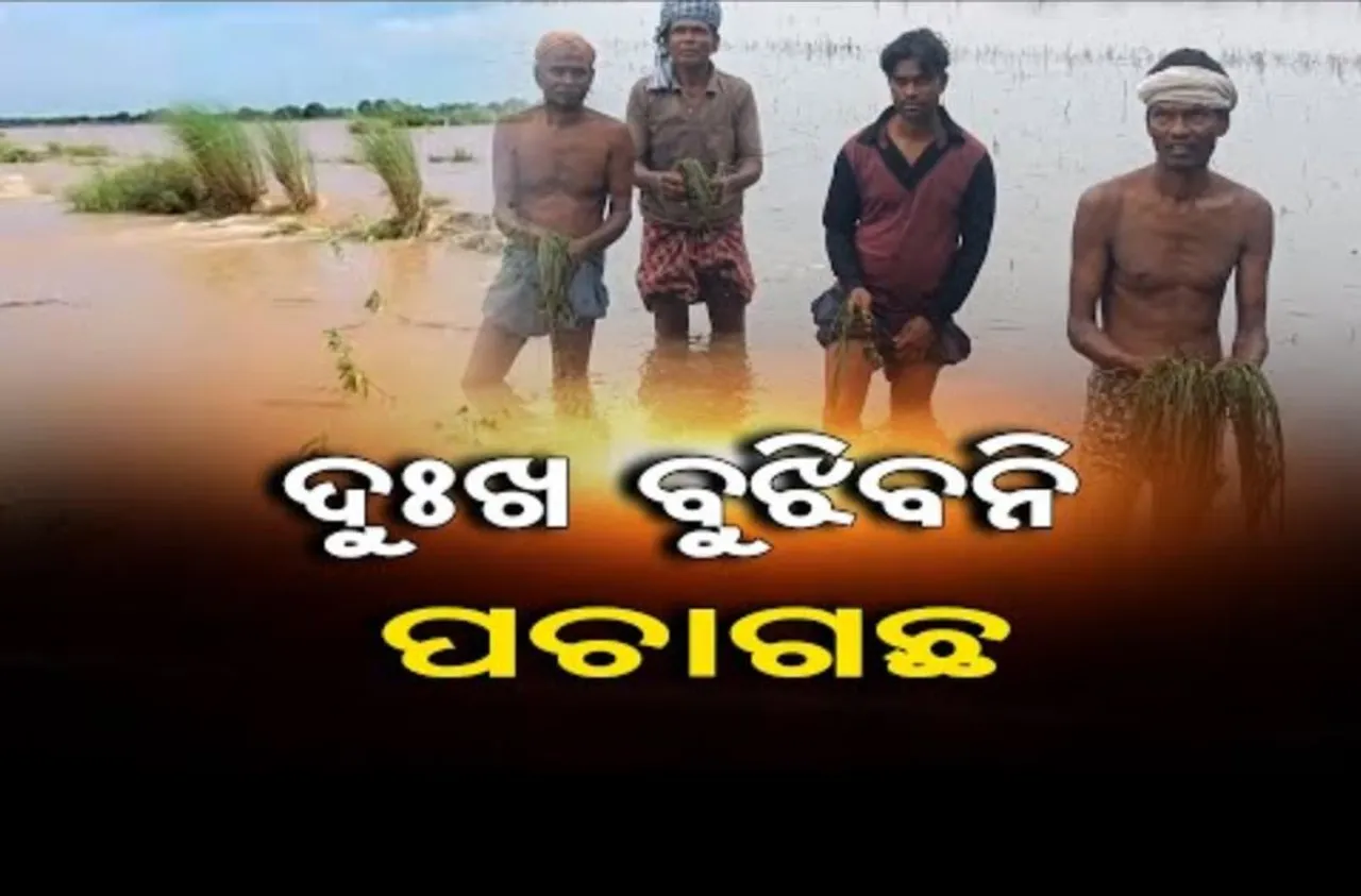 ଦୁଃଖ ବୁଝିବନି ପଚାଗଛ