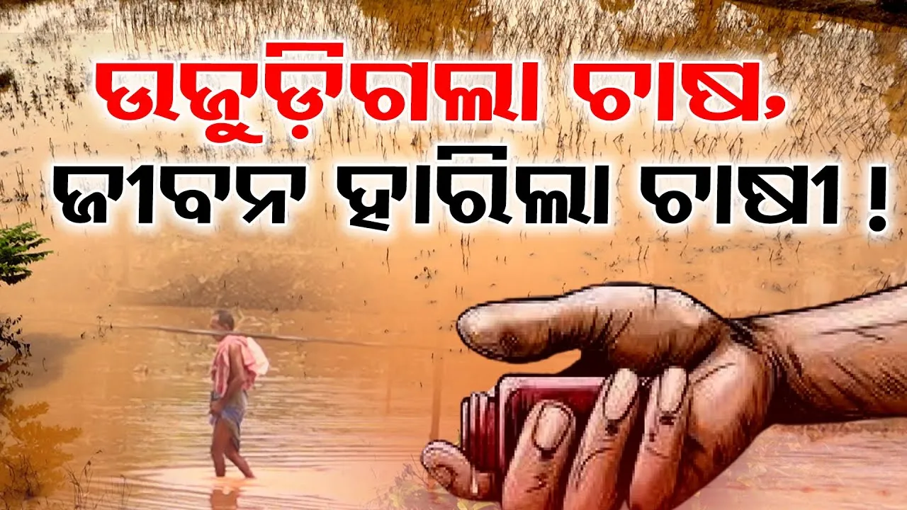 ଉଜୁଡ଼ିଗଲା ଚାଷ, ଜୀବନ ହାରିଲା ଚାଷୀ !