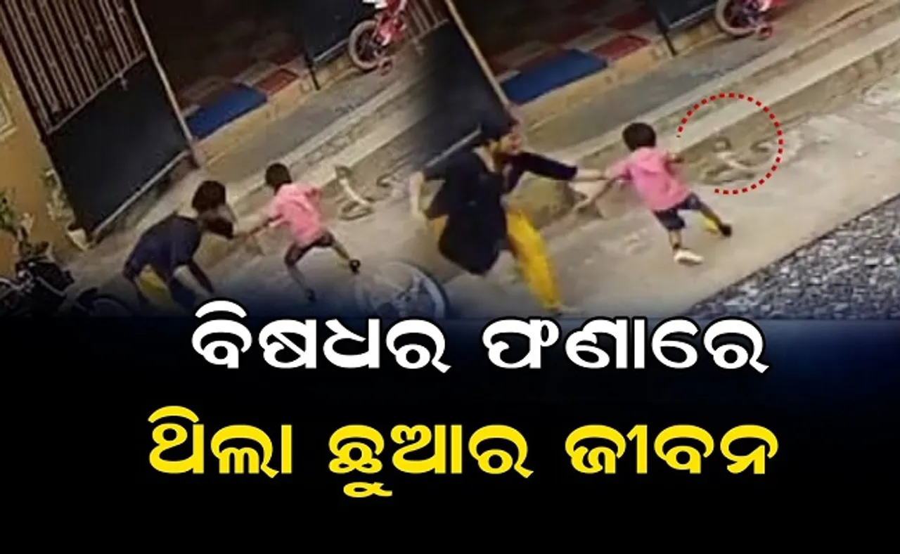 ବିଷଧର ଫଣାରେ ଥିଲା ଛୁଆର ଜୀବନ