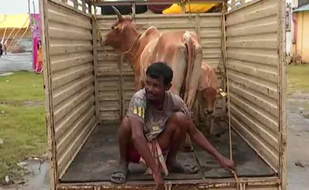 ହାଟକୁ ଗଲେ ମିଳୁଛି ମାଗଣାରେ ଗାଈ ବଳଦ