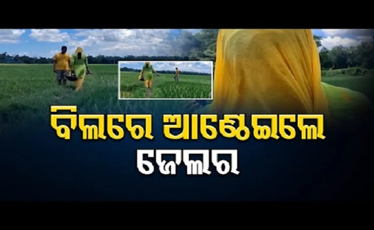 ବିଲରେ ଆଣ୍ଠେଇଲେ ଜେଲର