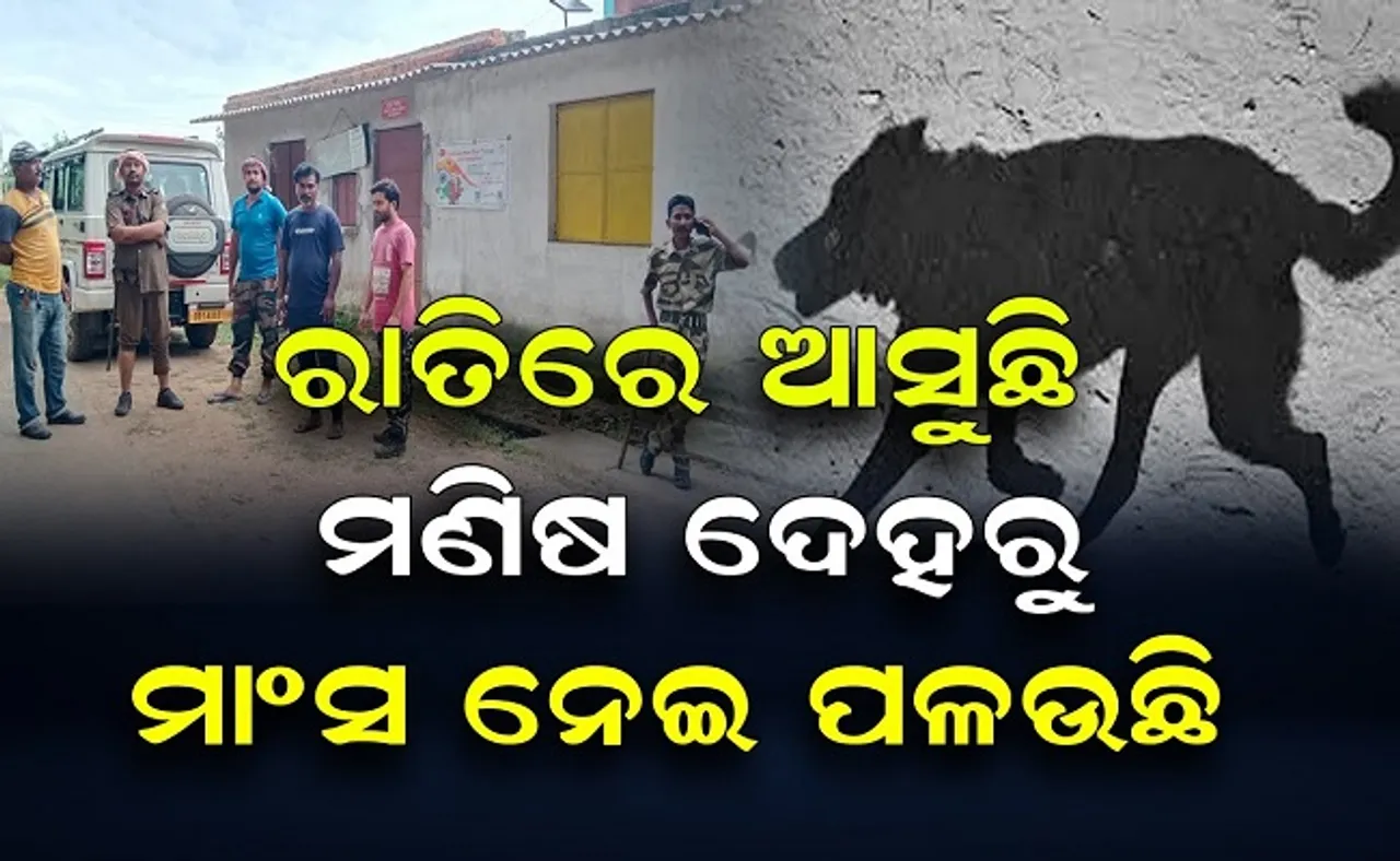 ରାତିରେ ଆସୁଛି, ମଣିଷ ଦେହରୁ ମାଂସ ନେଇ ପଳଉଛି