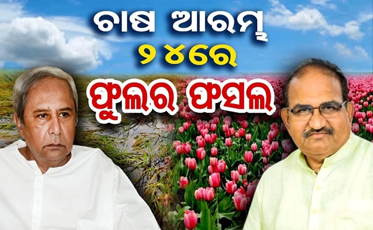 ଚାଷ ଆରମ୍ଭ, ୨୪ରେ ଫୁଲର ଫସଲ