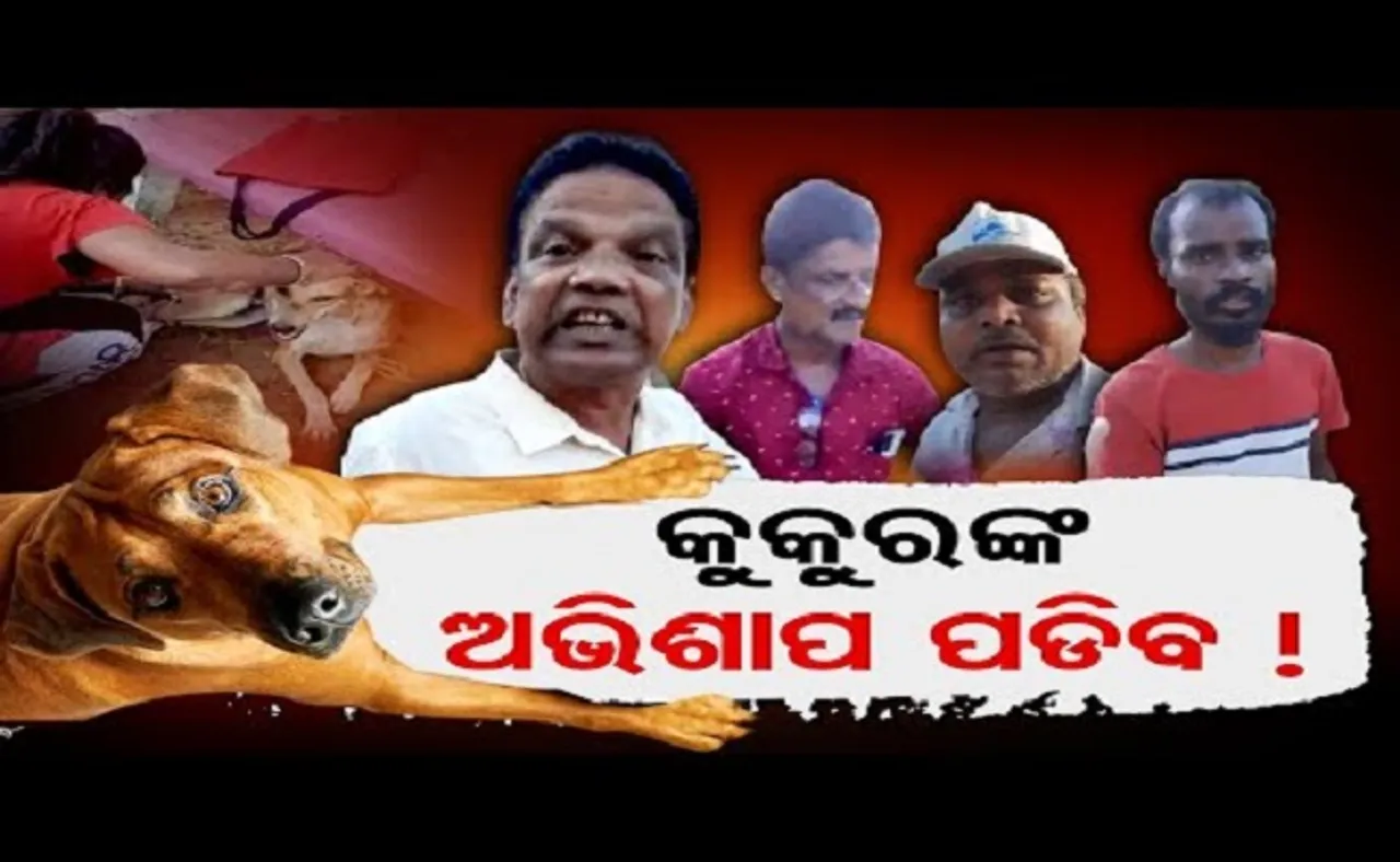 କୁକୁରଙ୍କ ଅଭିଶାପ ପଡ଼ିବ!