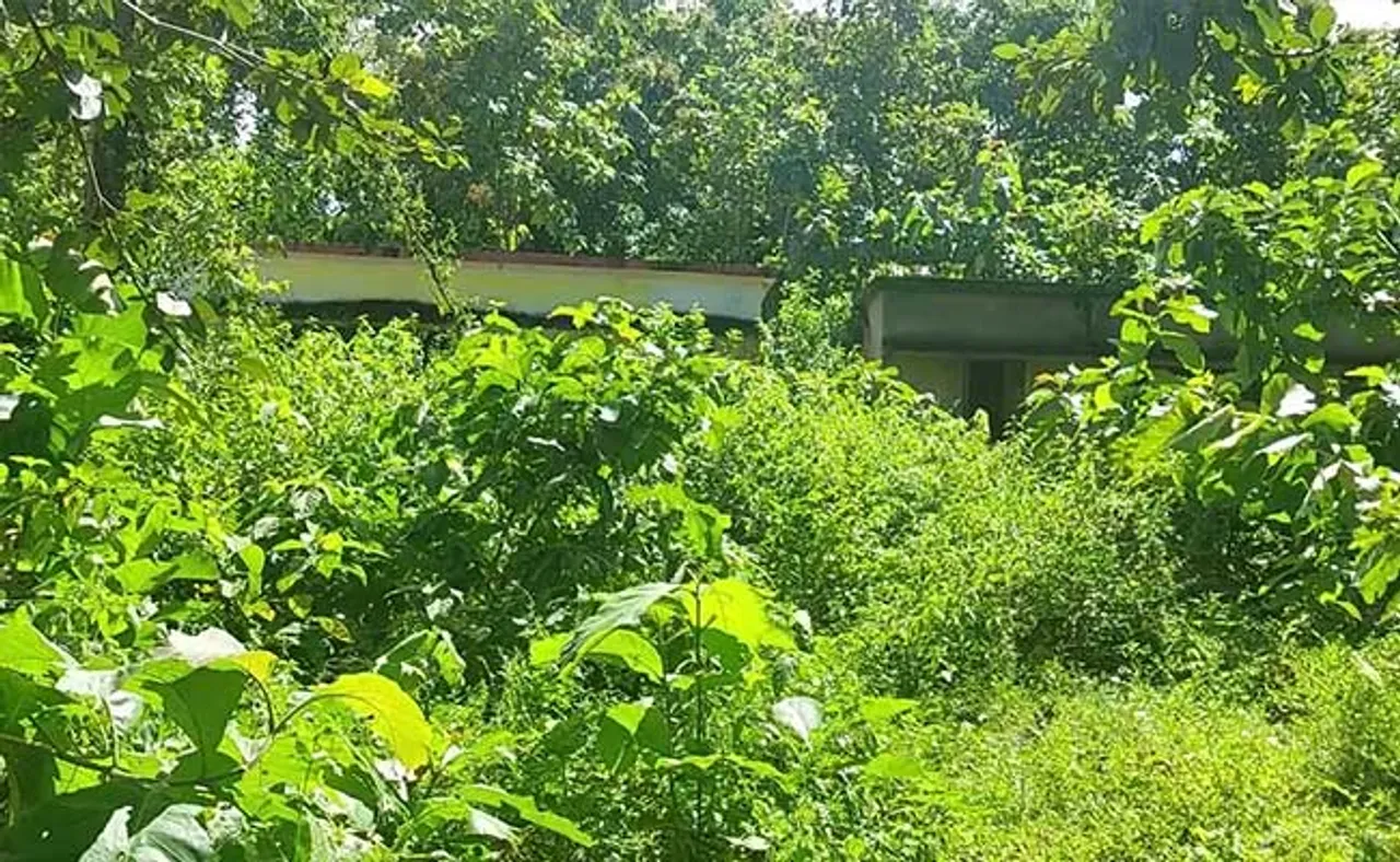 ଗଛଲତା ଭିତରେ ଲୁଚିଗଲାଣି ଦୁଇ ଅଙ୍ଗନବାଡ଼ି କେନ୍ଦ୍ରର କୋଠା, ୮ ବର୍ଷ ପରେ ବି ହୋଇପାରୁନି କାର୍ଯ୍ୟକ୍ଷମ