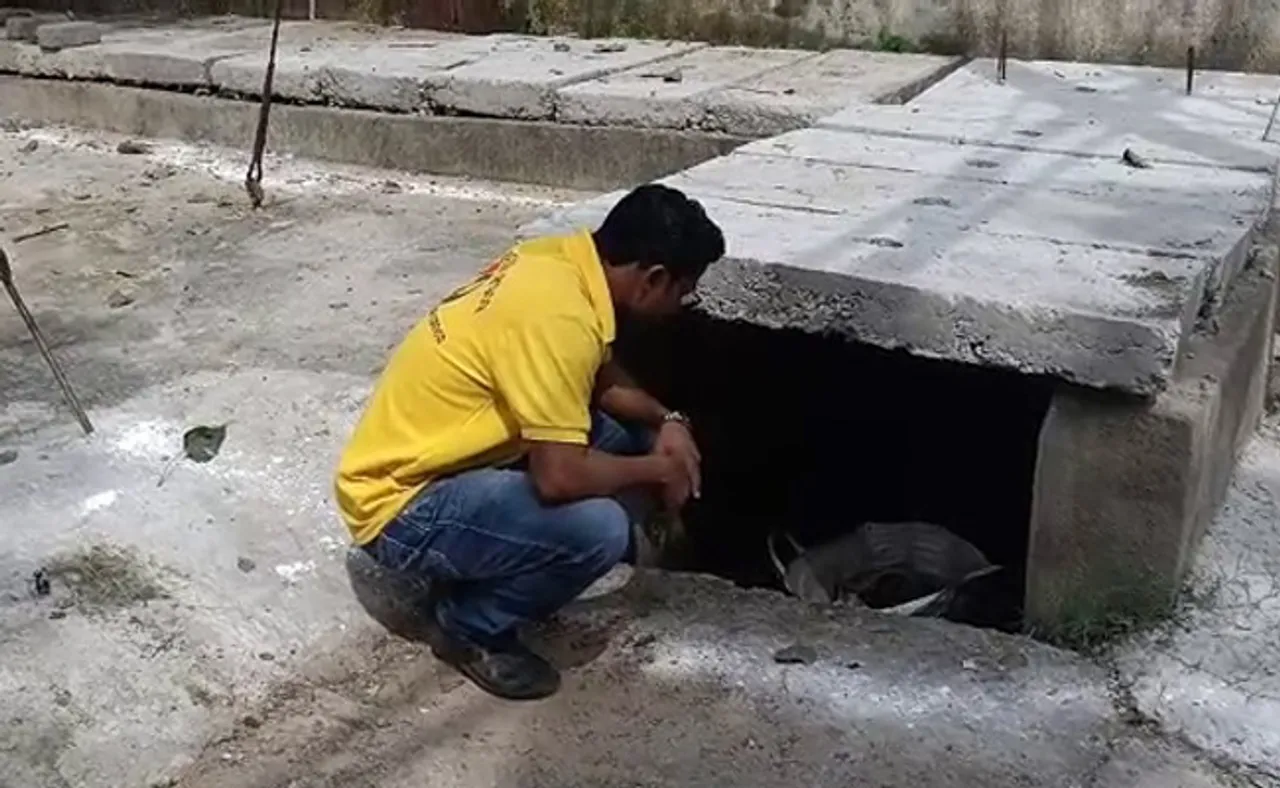 ଡ୍ରେନରୁ ଓ ଡଷ୍ଟବିନ୍‌ରୁ ମିଳିଲା ନବଜାତ ଶିଶୁକନ୍ୟାଙ୍କ ମୃତଦେହ