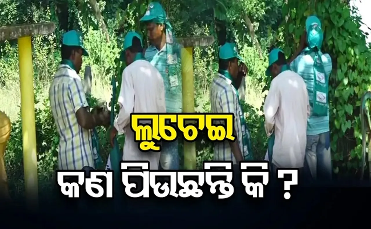 ଲୁଚେଇ ଲୁଚେଇ କଣ ପିଉଛନ୍ତି?