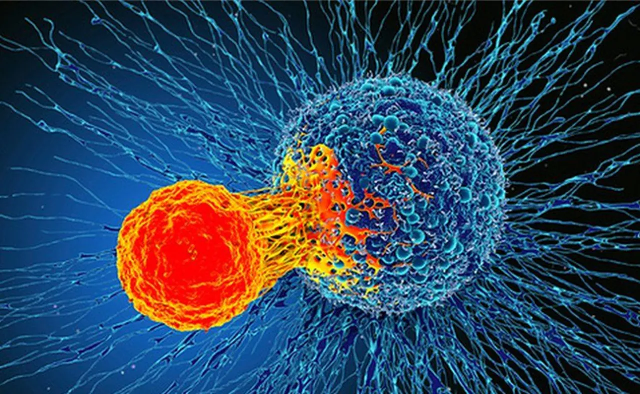 ଜାତୀୟ କର୍କଟ ସଚେତନତା ଦିବସ, ଜାଣନ୍ତୁ କିଛି ଗୁରୁତ୍ୱପୂର୍ଣ୍ଣ କଥା