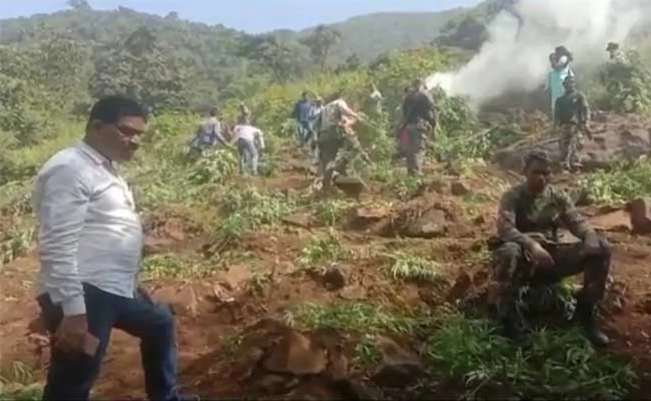 ଅପରେସନ ଗ୍ରୀନ୍‌କ୍ଲିନ୍‌ ଆରମ୍ଭ