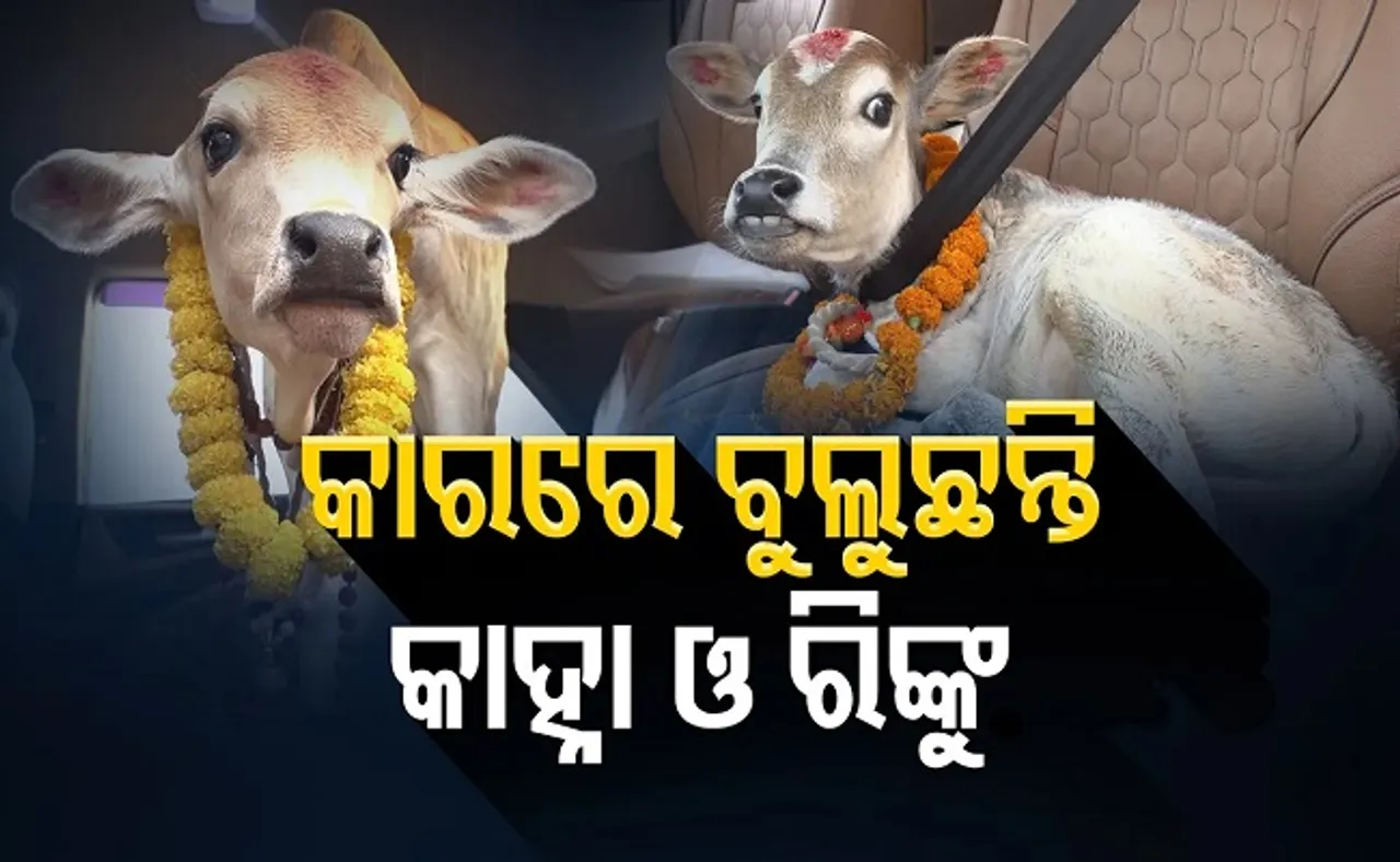 କାର୍‌ରେ ବୁଲୁଛନ୍ତି କାହ୍ନା ଓ ରିଙ୍କୁ