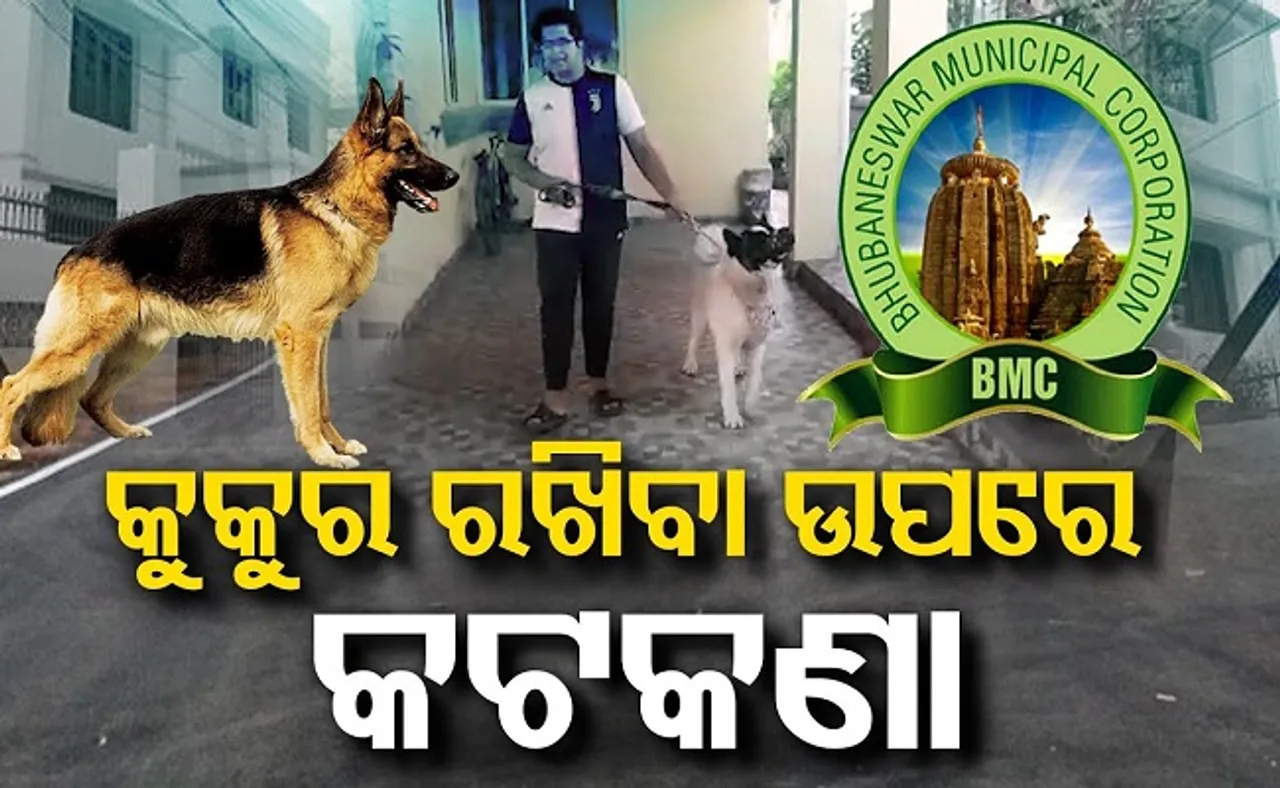 କୁକୁର ରଖିବା ଉପରେ କଟକଣା