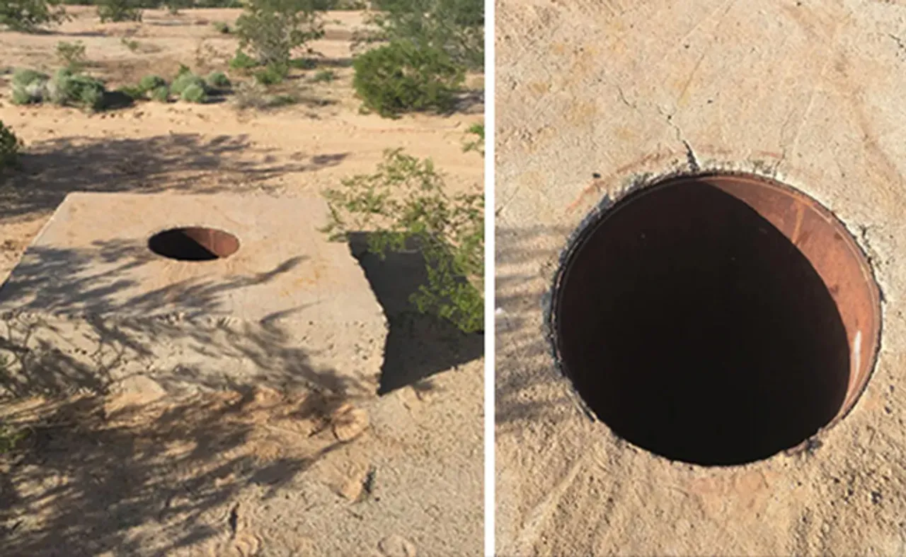 ଶ୍ରଦ୍ଧାଙ୍କ ପରେ ଆଉ ଜଣେ ମହିଳାଙ୍କ ଖଣ୍ଡବିଖଣ୍ଡିତ ମୃତଦେହ ମିଳିଲା