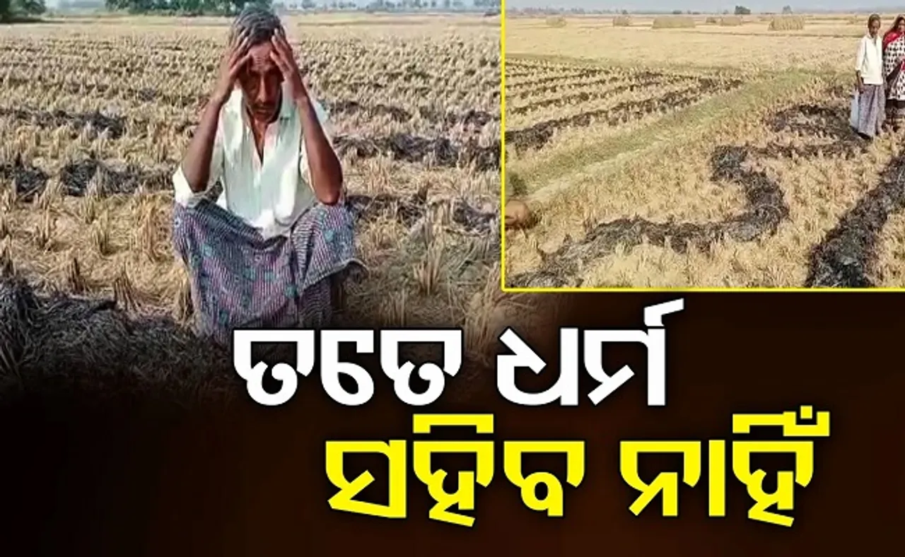 ତତେ ଧର୍ମ ସହିବ ନାହିଁ!