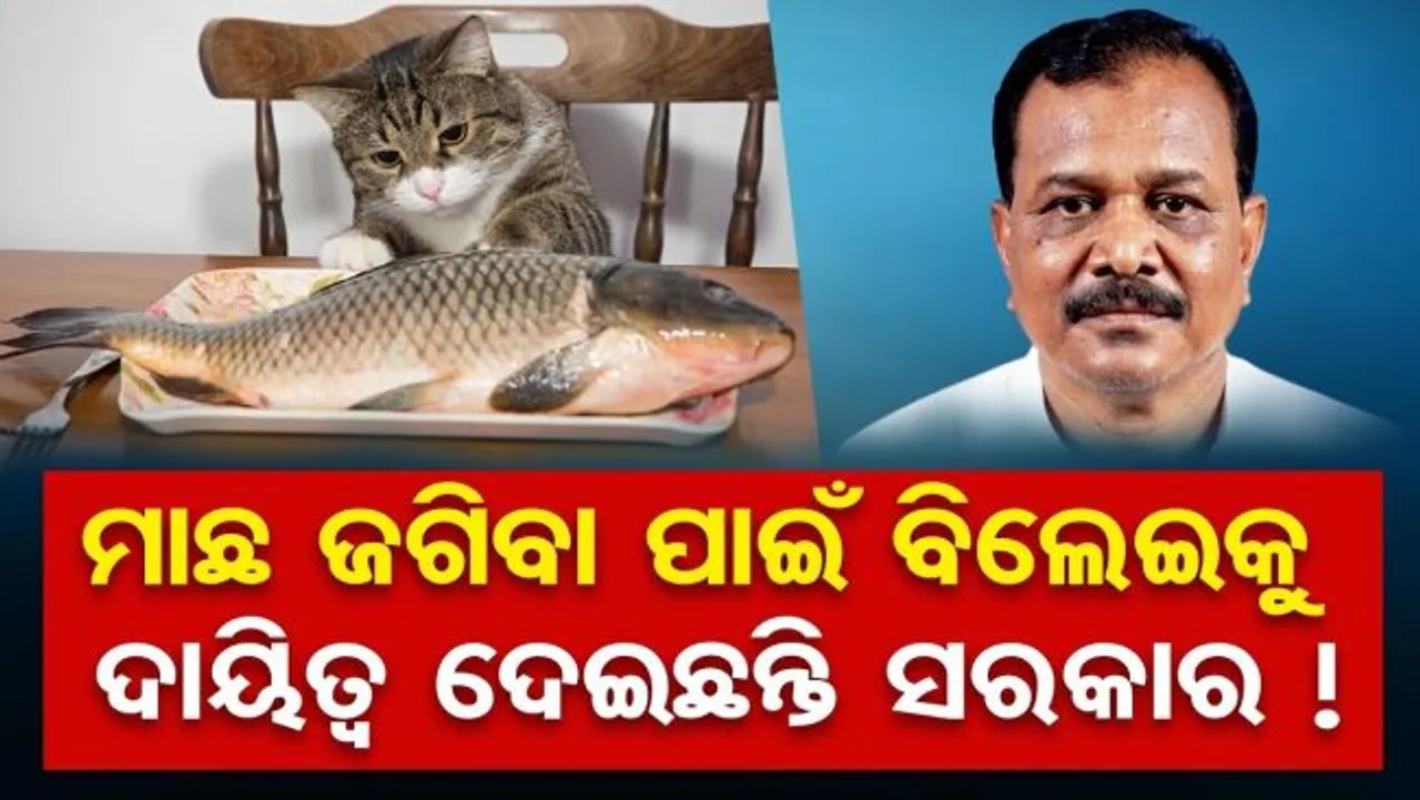 ଶିମିଳିପାଳରେ ଚାଲିଛି ବେଧଡ଼କ ଶିକାର